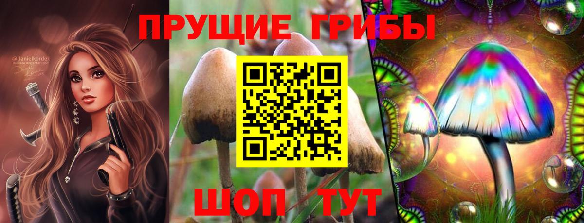 Псилоцибиновые грибы Magic Shrooms Воркута