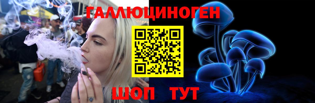 Воркута  Псилоцибиновые грибы Cubensis  Вход с VPN 